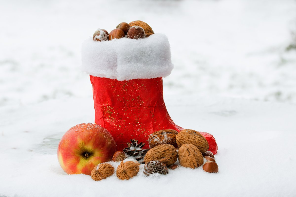 DigiSkillsMap's tweet photo. 🎄🔔Today, Saint Nicholas Day is celebrated in many countries🎅🎁

Our gift for today are the many projects of the Digital Skills Map community that address young people, pupils and students!🧒👧👦

Find out more here: https://t.co/fc5zaUaHuW https://t.co/sQCjqYlUSL