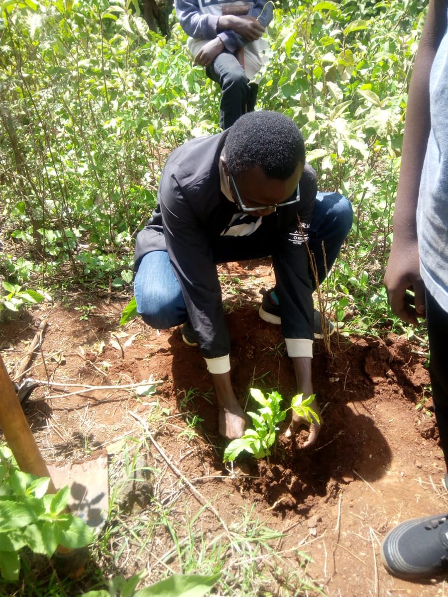 Robert Meya tweet media