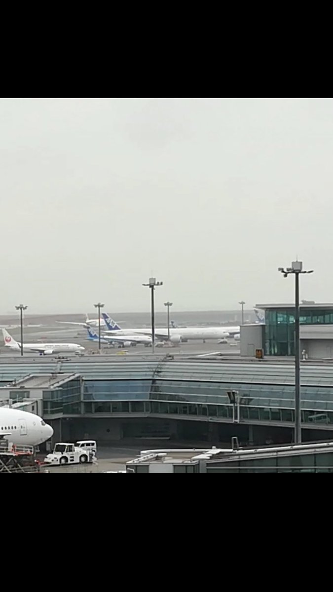 moon_rain_r's tweet photo. 今日はI Knew I Loved You🎶
べべタン🧡またいつかね🧡✈
べべタン🧡✈またね🧡👋いつか絶対逢えますように🙏🌠
#BB8 #JA789A
#Boeing777381ER #ANA #STARWARS
#STARWARSPROJECT #MayTheForceBeWithYou
#HDN #Diary
#SavageGarden #IKnewILovedYou https://t.co/9FsfKwsxR5
