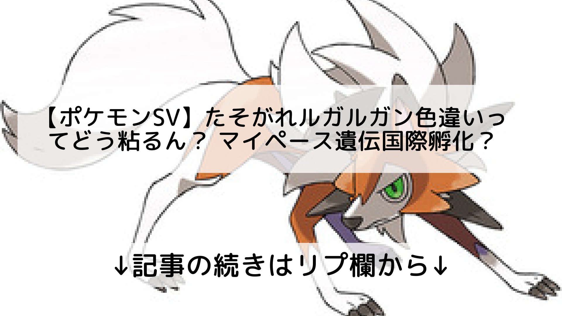 ポケモンユナイト攻略まとめ速報 Pokemon Unite フォロバ100 ポケモンsv たそがれルガルガン色違いってどう粘るん マイペース遺伝国際孵化 記事の続きはリプ欄から T Co Yhjtkoiacp Twitter