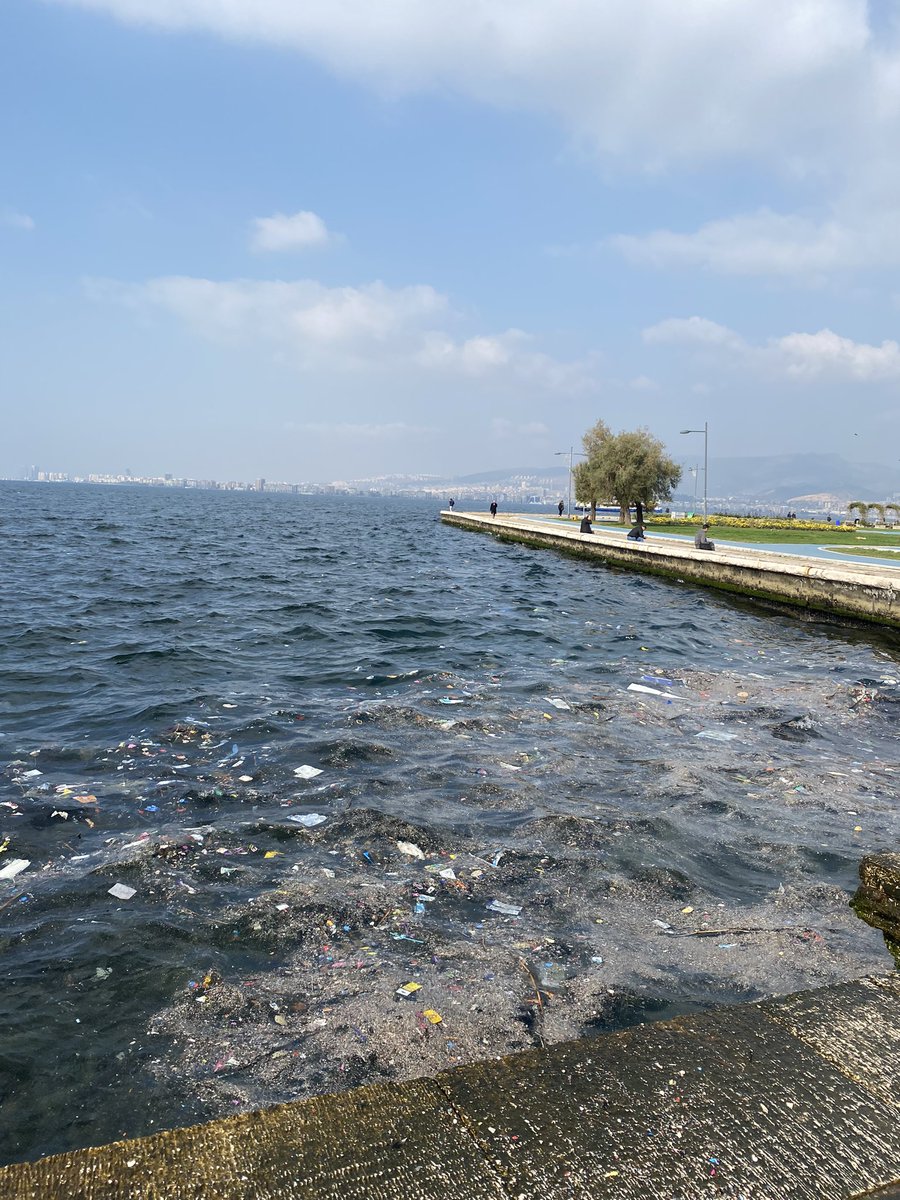 Bu şehir bunu hak etmiyor. Yoldan geçerken ben utandıysam gelen bir yabancı İzmir hakkında neler düşünür bilmem #İzmir