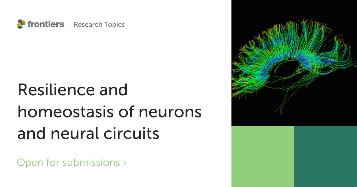FrontNeurosci's tweet image. Research Topic open for submissions📣:&apos;Resilience and homeostasis of neurons and neural circuits&apos;. Interested in contributing? Submit here: frontiersin.org/research-topic… #cellularneuroscience