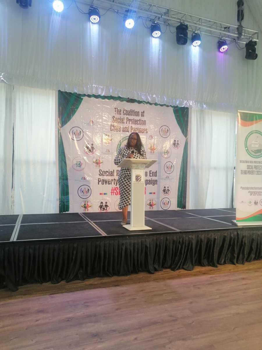 Network on Social Protection Advocacy in Nigeria tweet media