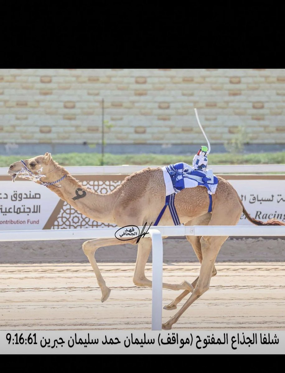 الاب سياف ابن دلهم