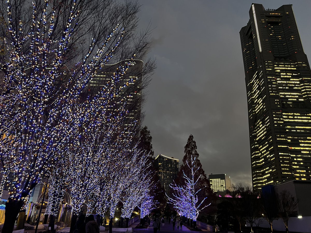 yuimon1007's tweet image. 友人とみなとみらいでハリポタクリスマスしてきました！！！
楽しかった～！！
 #MINATOMIRAICHRISMAS2022 
 #ハリーポッター魔法ワールドと出会う旅