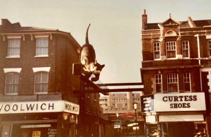 Good morning Catford!
