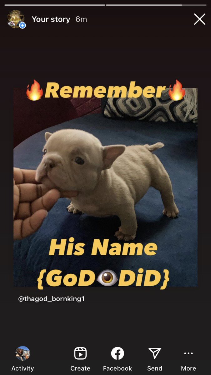 BullyGod_chuck's tweet photo. We still thugging pups available $$$$$ https://t.co/5DepKP7n2H
