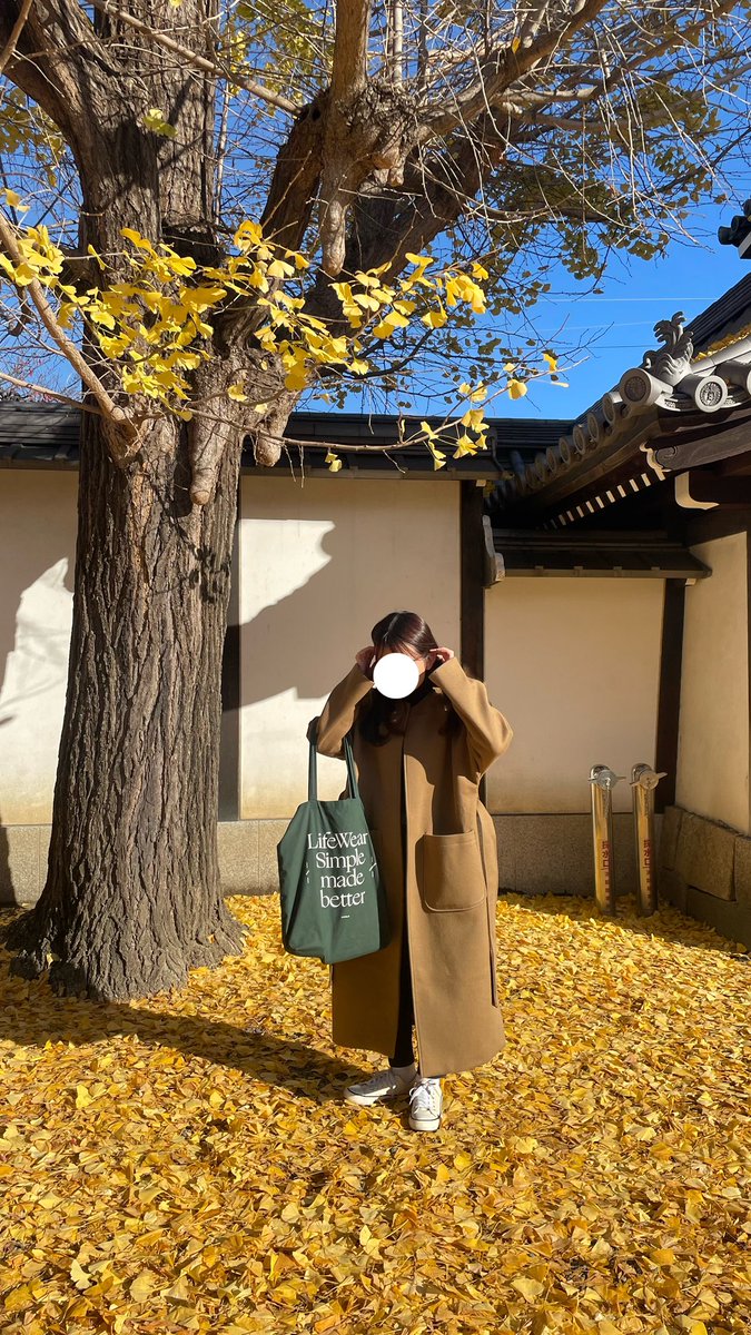 __threecornered's tweet photo. 駆け込み秋した時🍁 https://t.co/ADdt9qpJoH