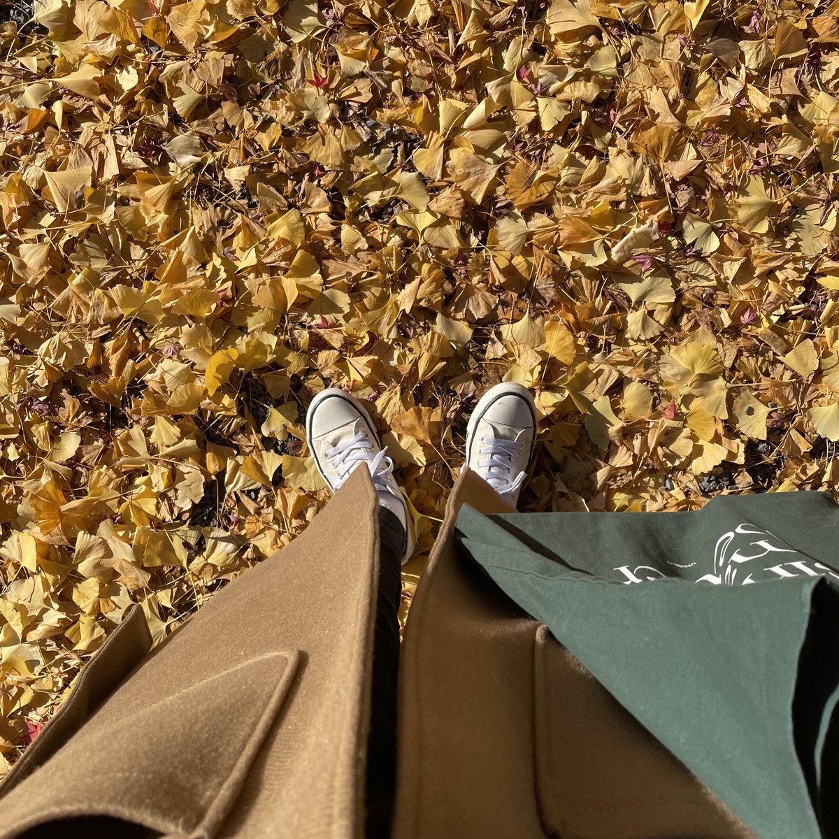 __threecornered's tweet photo. 駆け込み秋した時🍁 https://t.co/ADdt9qpJoH