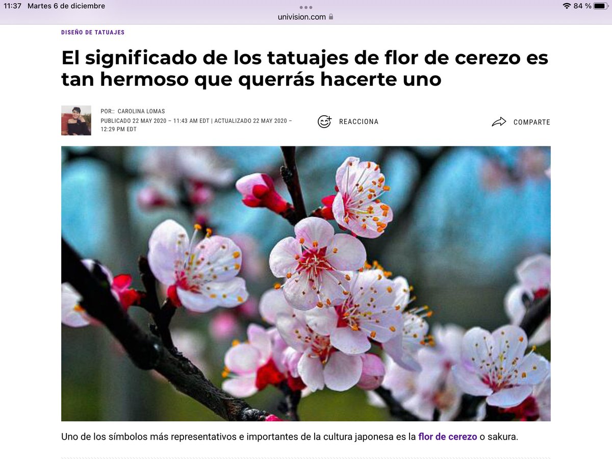med006803's tweet photo. Terminado #Bushido, de #InazoNitobe, un libro interesante sobre los principios morales a observar por los samurais, que durante años forjaron la mentalidad y costumbres del Japón. Muchas referencias cruzadas a la cultura y costumbres de Occidente. Una obra curiosa. 🇯🇵@EdObelisco https://t.co/UYByh7BzzC