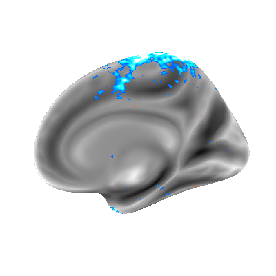 Parietal, INRIA tweet media