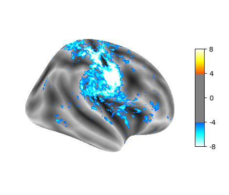 Parietal, INRIA tweet media