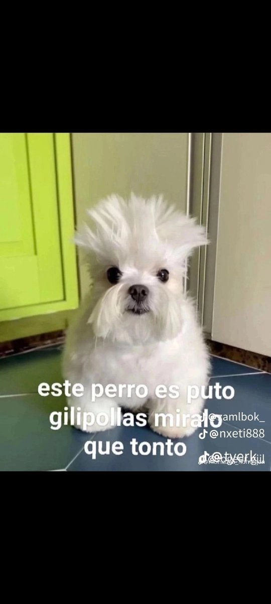 Quepasalarva0's tweet photo. @splash0970 https://t.co/ZLdTeuCK7f