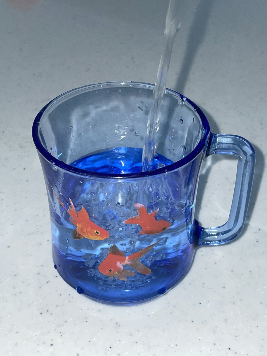 summerinnyy's tweet photo. RT추첨 2분께 드려요🐠🐠🐠 𓄹𓄺𓂃𓂃𓂃

fish cup! ❇️ @rincomma_ 
https://t.co/vf3Lfxkonk

｡˚𓆟  𓄹𓄺𓂃𓂃𓂃 𓄹𓄺𓂃𓂃𓂃 🐠🐠
⬇️ 아래 타래를 꼭 확인 해 주세요! https://t.co/8Hj5dQ2Omv