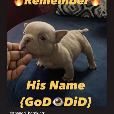 BullyGod_chuck's tweet photo. #NewProfilePic https://t.co/H7yQXzsYXH