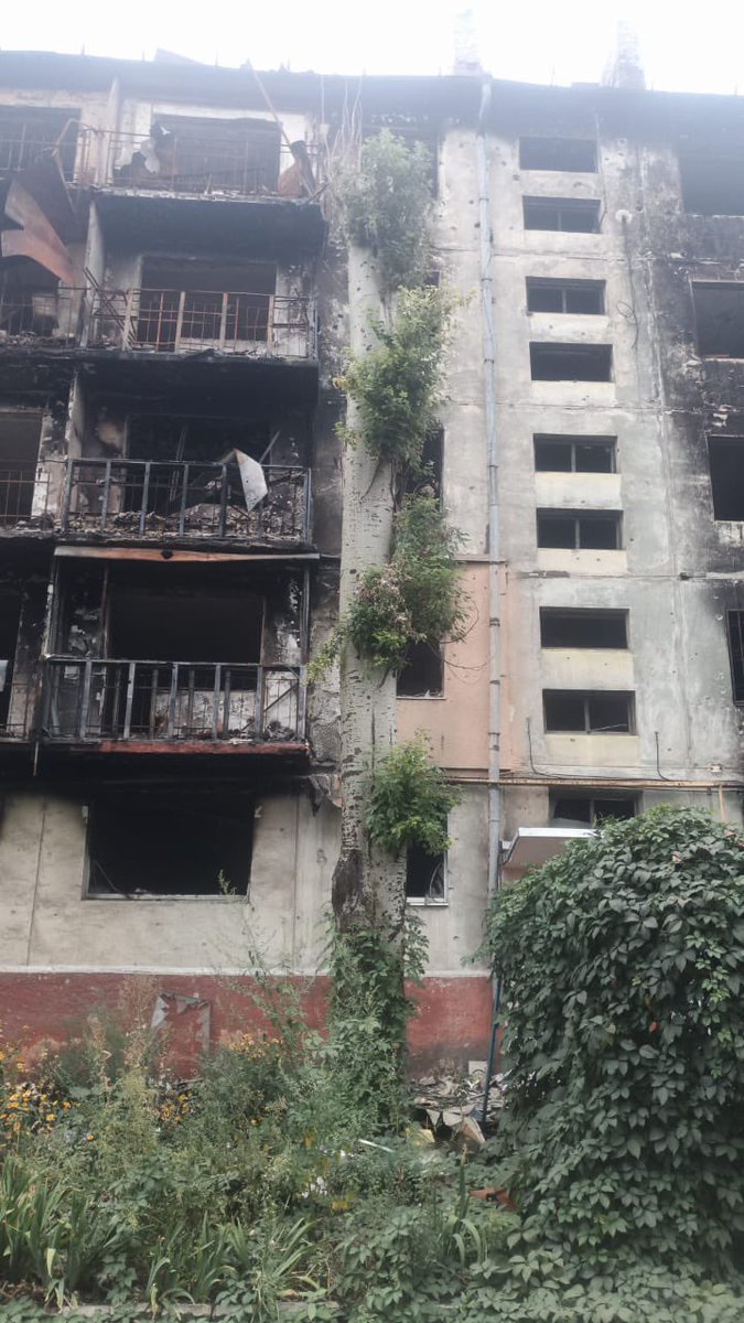 3amo4ek's tweet image. «Бедненьким нашим пацанам негде жить…» Мне из за ваших «бедненьких» пацанов тоже теперь негде жить, еле выбрались из этого пиздеца из за ваших «пацанов»