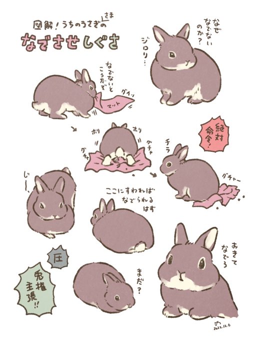 🐰なでないとこうだぞ 