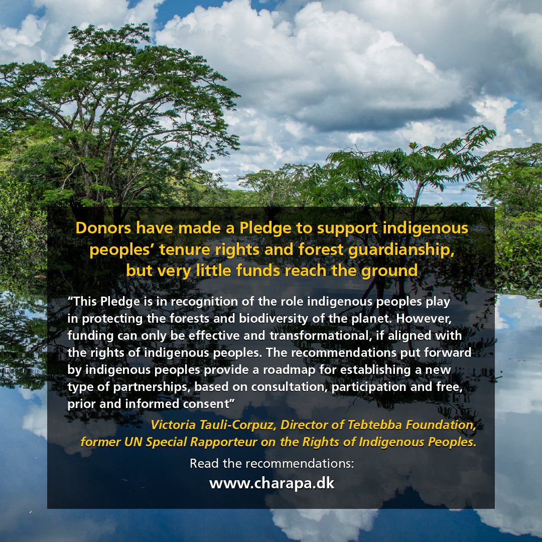 BiFeiring's tweet photo. At #COP15 the question of funding to #INDIGENOUS peoples and local communities #IPLC is crucial as a tranformative Global Biodiversity Framework #gbf relies on their knowledge and defence of territories and resources. Read the recommendations:  https://t.co/RwZQjABgFQ https://t.co/CvQCuJC10A