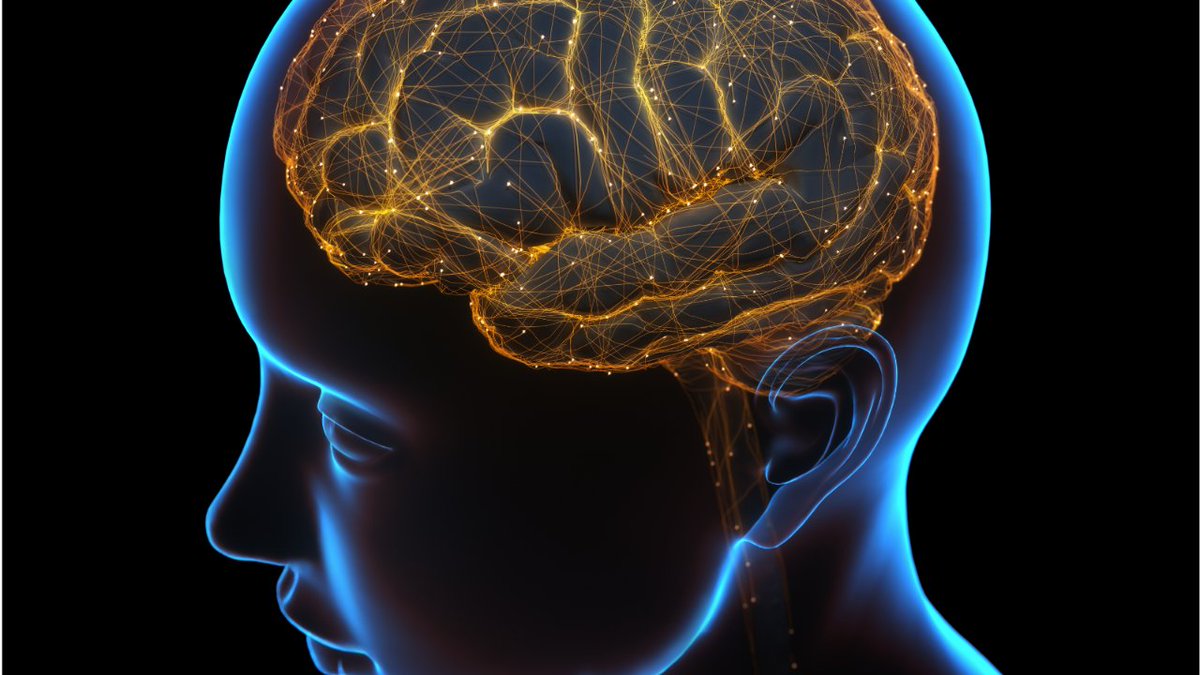 vallhebron's tweet photo. L’estimulació cerebral profunda (ECP) és un tractament eficaç per persones amb trastorn de moviment. Consisteix a col·locar uns elèctrodes al nucli pàl·lid del cervell, que faran una funció de marcapassos per modular el ‘batec’ anormal de les neurones

ℹ️https://t.co/MyJsPpYyiA https://t.co/MPgg5jEPl3