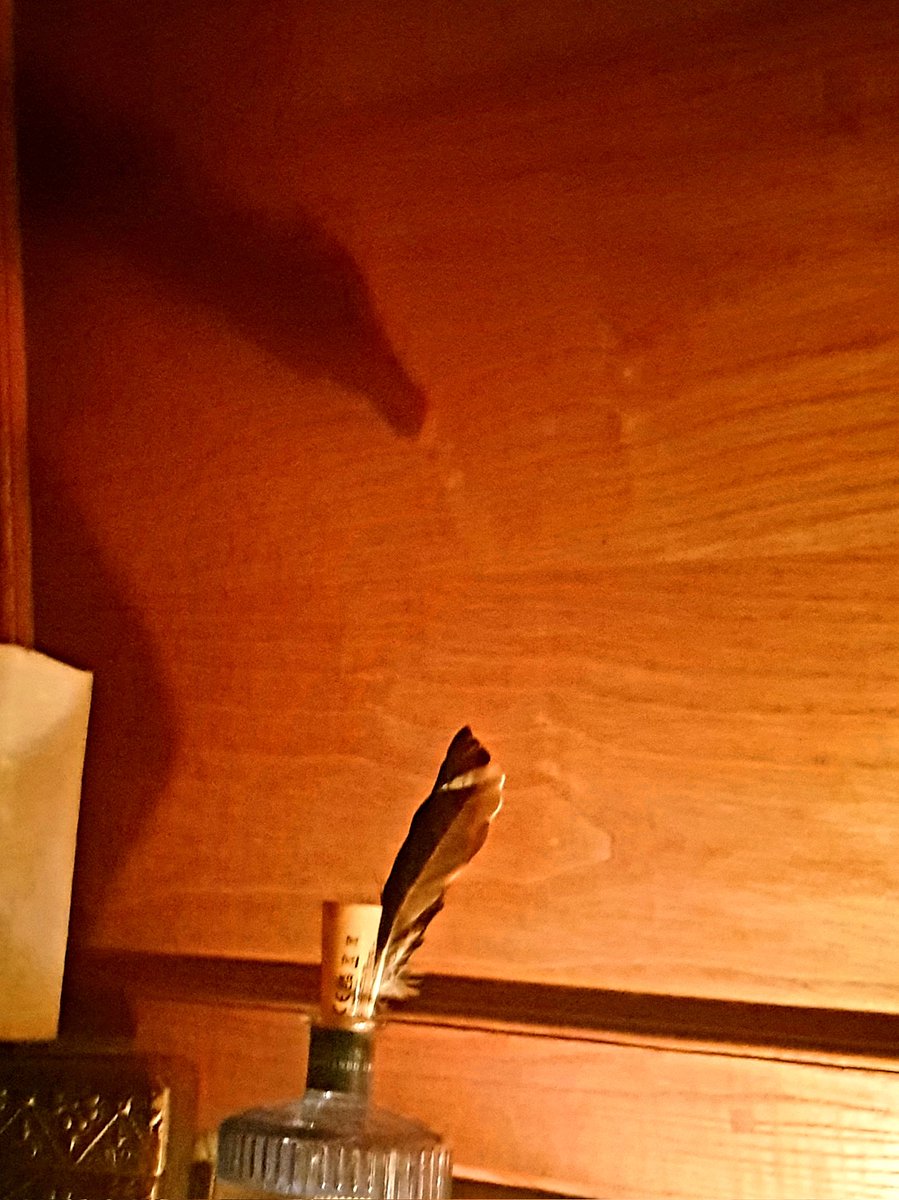 pynstory's tweet photo. In last nights flicker of candles feather became shadow bird. #shadow #boatmagic https://t.co/749yEs8qPc