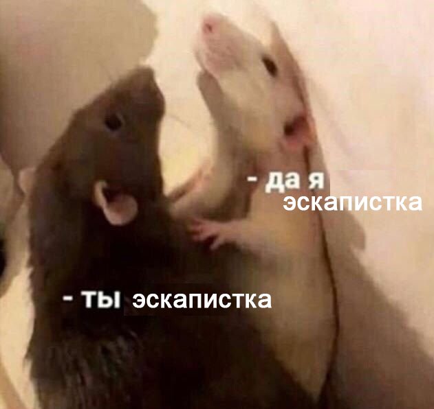 a manic frequency 🌺🍇🫐 #нетвойне tweet media
