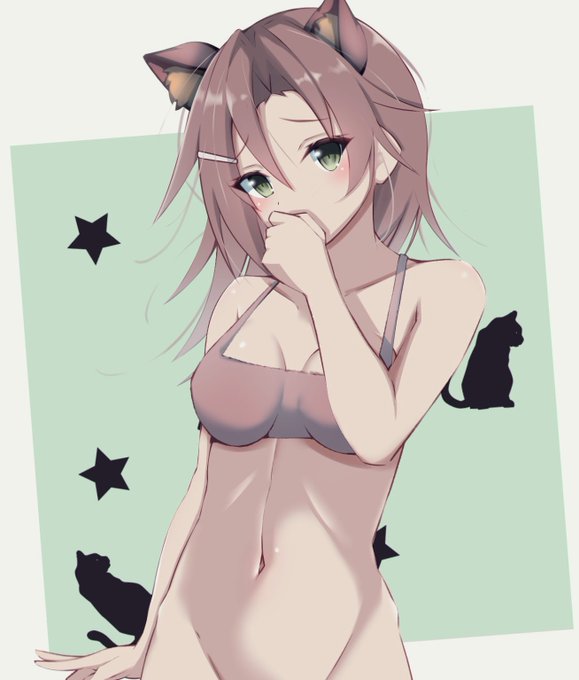 にぼっしー猫🐈 