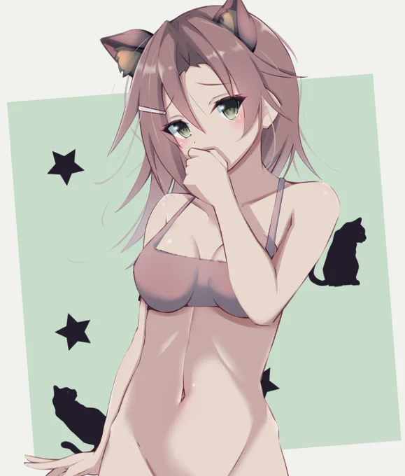 にぼっしー猫 