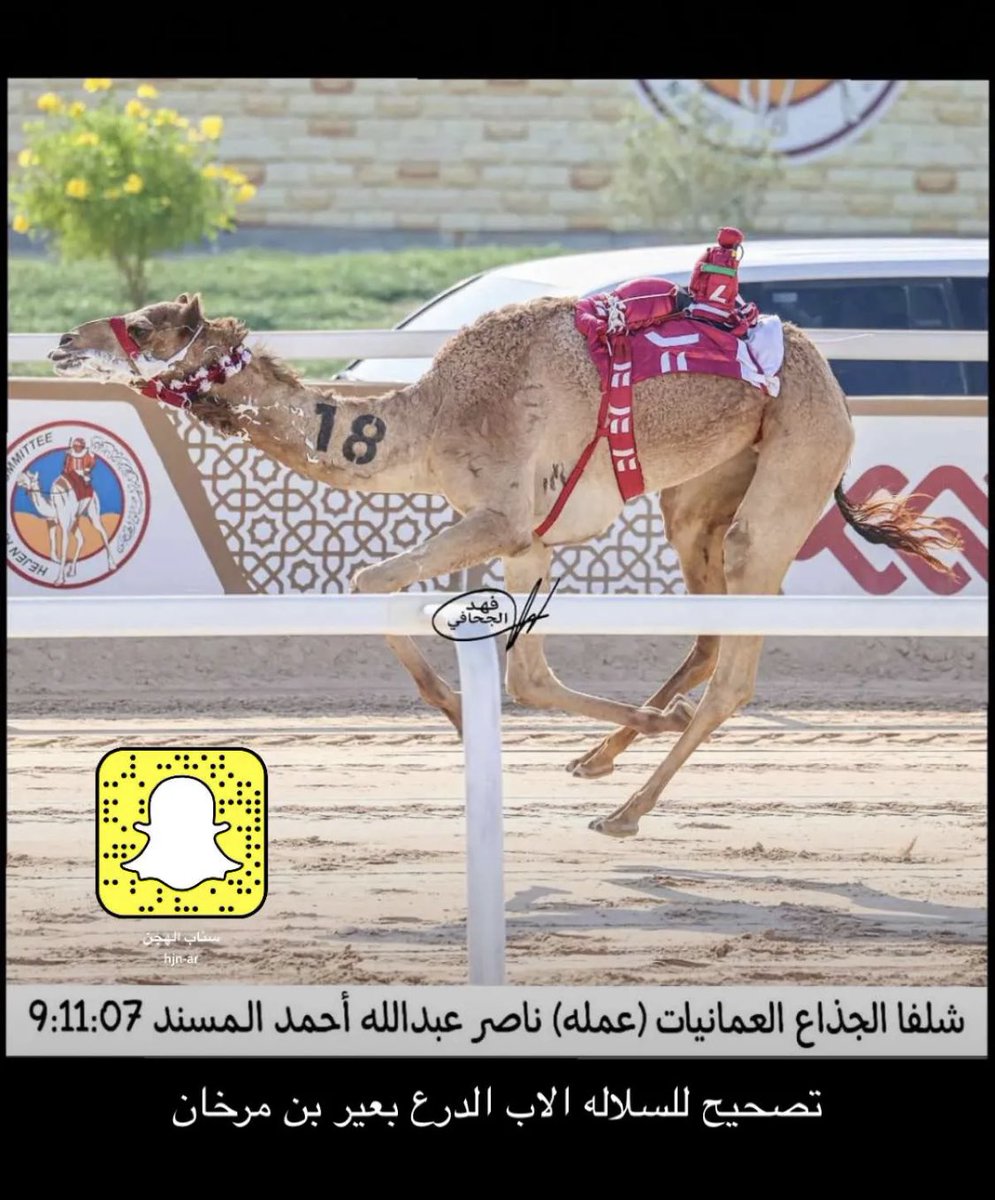 الاب الدرع