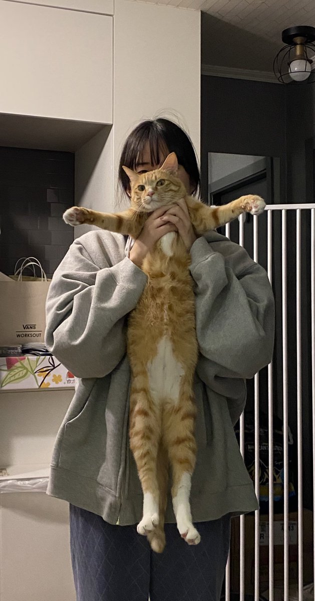 아코🤍 (@kimakonyang) on Twitter photo 