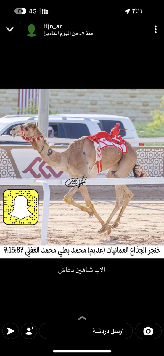 سناب الهجن (@hjn_ar) on Twitter photo 