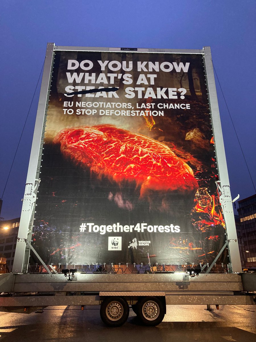 jcdelolmowwf's tweet photo. ¡Victoria para los #bosques del #planeta!

Anoche la #EU llegó a un acuerdo histórico para evitar que nuestra comida venga de la #deforestacion!

Queda mucho por hacer pero es un paso enorme!

#Together4Forests 
@Teresaribera @Moran_Fernandez @WWFEU

👉https://t.co/6uVwybishC https://t.co/7xYMlYkWIm