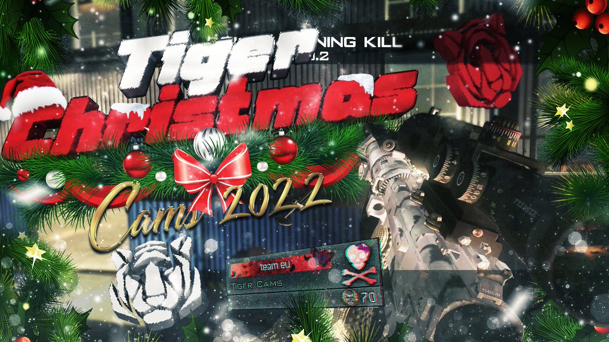 T!GER 🐯 tweet media