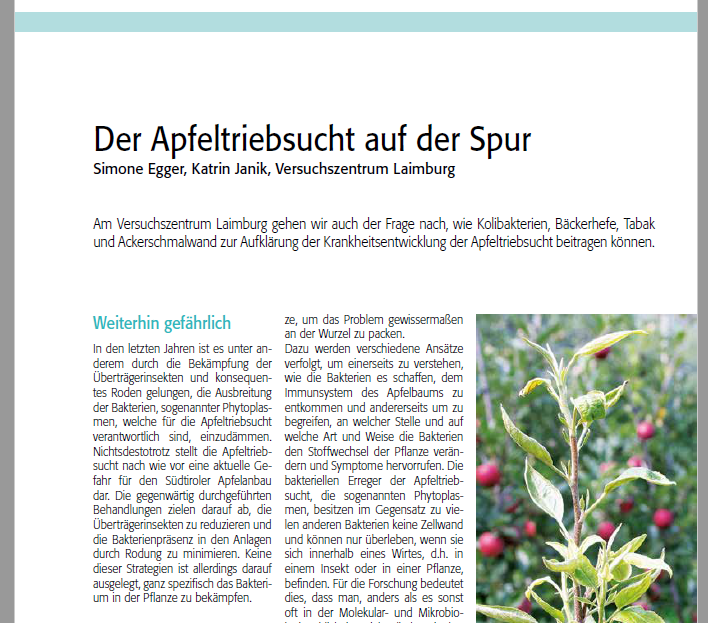 MolBioLB's tweet photo. 📰 We want to share our new publication on apple proliferation (#Apfeltriebsucht) posted in the latest edition of the #Obstbau #Weinbau magazine from South Tyrol's #Beratungsring! Read the full article here 👇
https://t.co/Ju0agWhq8W https://t.co/pxMZC6mPDk