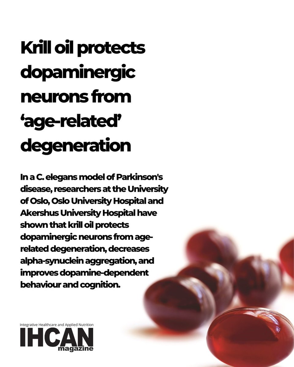 IHCANmagazine's tweet photo. Krill oil protects dopaminergic neurons from ‘age-related’ degeneration

Read the full article in our December issue.

#integrativehealth #nutritionaltherapy #appliednutrition #nutrition https://t.co/sJpKx7l8tZ