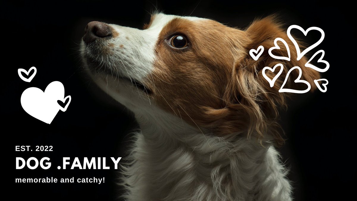 Dog.family for sale on sedo! 
3 Letter words, Memorable and catchy!
Suitable for starting your pets business
For example
Pet Shop
Pet Supplies
Pet Grooming
Pet hotel

#domainname #domainsforsale <a href="/sedo/">Sedo</a> #Pets #dogs #dog #BusinessOwner #startup <a href="/Undeveloped/">Dan.com - a GoDaddy brand</a> #seo #web3