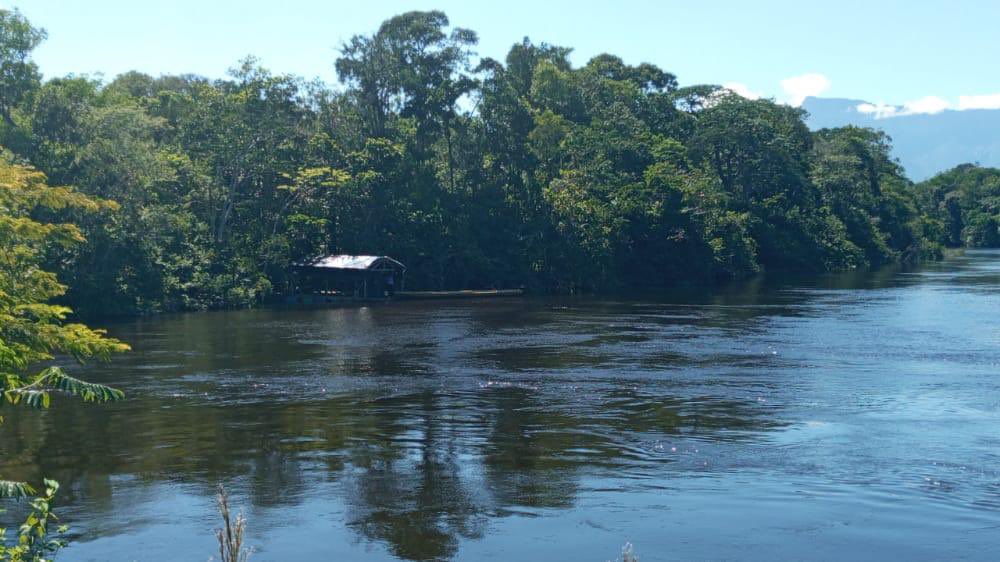 Redi_andes's tweet photo. FANB en defensa de nuestra Soberanía desplegada en La Gran Sabana, desmantelando las estructuras ilegales de minería. Los derechos mineros son temporales y se ejercerán dentro de los límites geográficos asignados según contrato social, jamás arbitrariamente en Parques Nacionales. https://t.co/a1IeW4PQmb