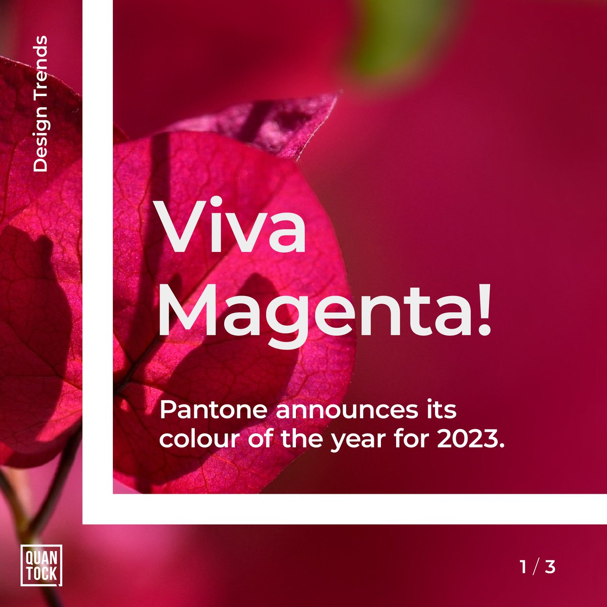 quantockstudio's tweet image. We&apos;re super excited that we&apos;re entering the #magentaverse thanks to Pantone announcing &apos;Viva Magenta&apos; as 2023&apos;s colour of the year. Embodying a renewed enthusiasm for the physical world, Viva is a celebration of original matter.
#pantone #pantone2023 #pantonecoloroftheyear