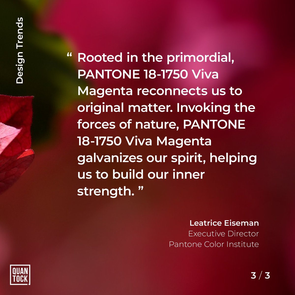quantockstudio's tweet image. We&apos;re super excited that we&apos;re entering the #magentaverse thanks to Pantone announcing &apos;Viva Magenta&apos; as 2023&apos;s colour of the year. Embodying a renewed enthusiasm for the physical world, Viva is a celebration of original matter.
#pantone #pantone2023 #pantonecoloroftheyear