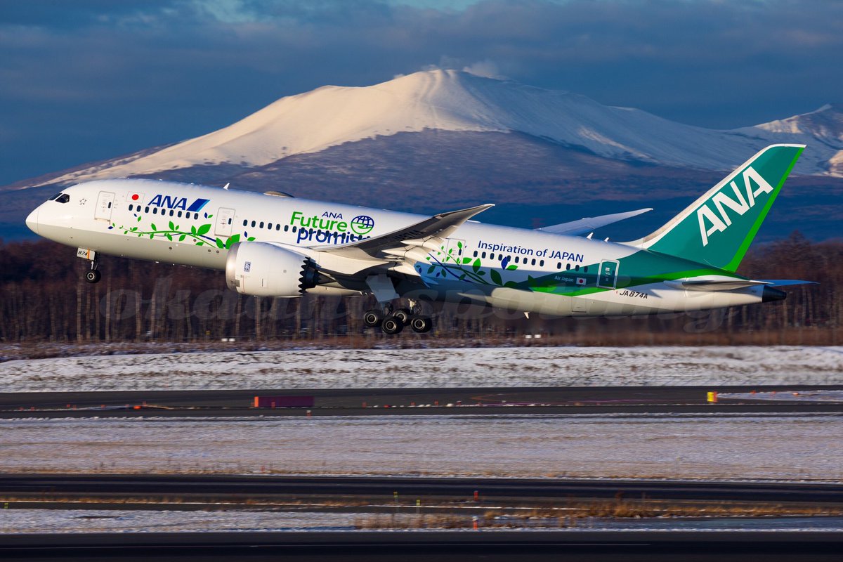 All Nippon Airways Boeing 787-8 Dreamliner JA874A 
