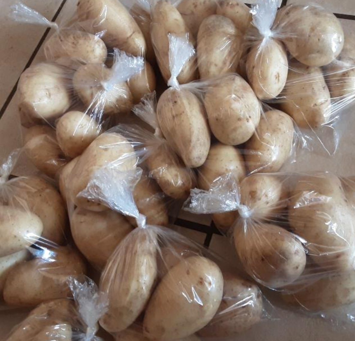 Fineo40535952's tweet photo. Guys I need help with Money to pay rent I don't have any sad stories to tell,My Business didn't do well last month I'm based krugersdorp Randfontein please support #Bonga #SASSA #KellyKhumalo #Pregnacie #SARS #CyrilRamaphosa please Retweet https://t.co/22TxoK1sz2