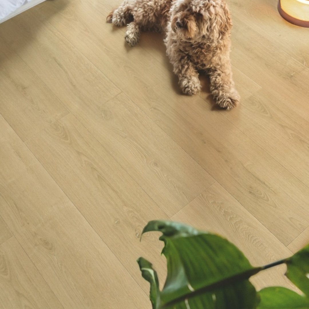 Coraffflooring's tweet photo. Introducing the new Capture laminate floor collection from @QuickStepFloors 

Realistic look and feel, with all the durable qualities of a laminate floor.

Contact Coraff for more details 020 8731 7766 

#interiordesign #designerflooring #coraff #London #HomeImprovement https://t.co/RQlHldDWAf