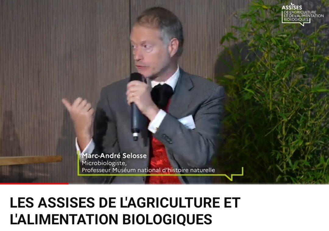 semae_officiel's tweet photo. #AssisesBio
Table Ronde "#BIO & #Agroécologie vue de la #recherche"
"La réponse est sans doute la création variétale. Les résistances durables réduisent le nombre de passages dans les parcelles de 20 à 3, le passage de pesticides de 90%"
Marc-André Selosse @Le_Museum https://t.co/JclfrnWyCy