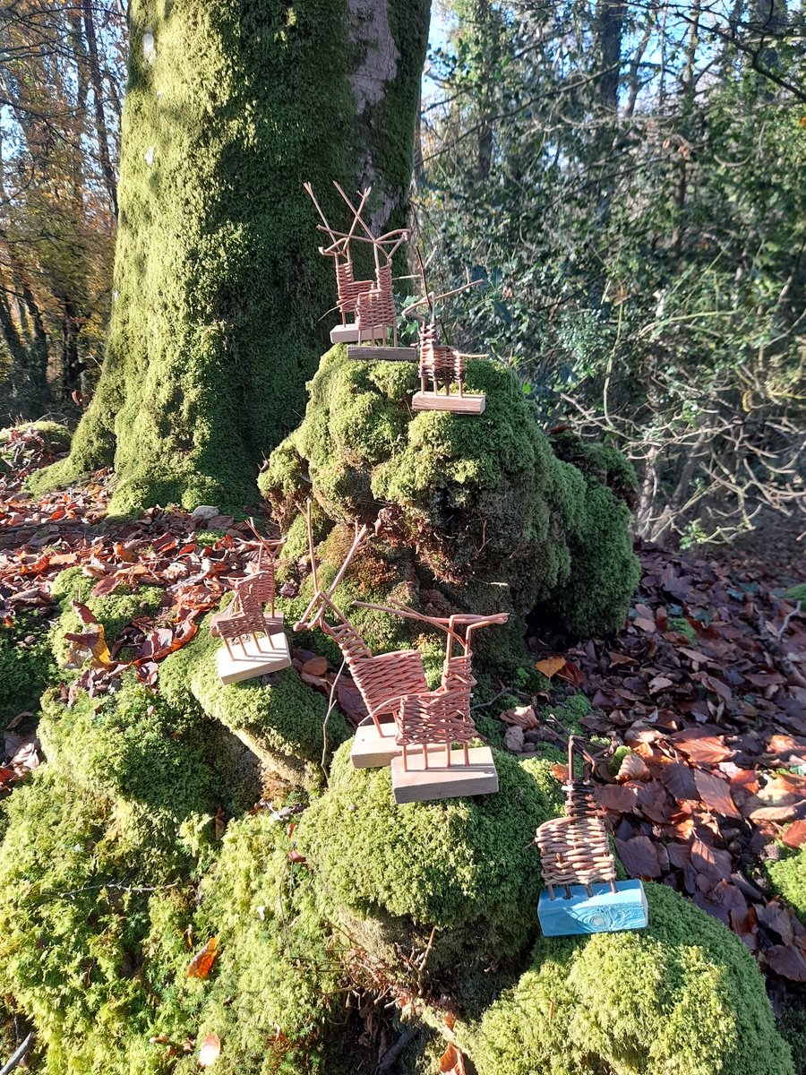 Starting to get festive on the @BlackdownsAONB SNC course. We made willow reindeer, willow stars, and wishing cones. <a href="/SomersetWT/">Somerset Wildlife Trust</a>