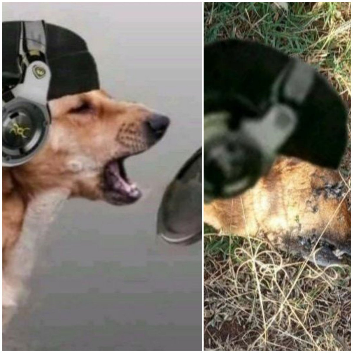 KylieHopkinsX's tweet photo. Lil bosco dead na hajatoa Ngoma ya Christmas , so sad ,..the government should protect our rappers🤧 https://t.co/uvLYm1ZmWr