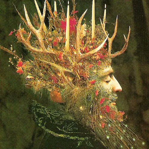 folkhannah's tweet photo. If you need to get into the #Yuletide spirit why not join me @treadwells tonight online for Plant Magic of the Season, where we will sink into the deeper pulse of  #Solstice energy with light, leaves and spices galore... https://t.co/I7zMEVMXh2 https://t.co/3Ln4UcPrMK