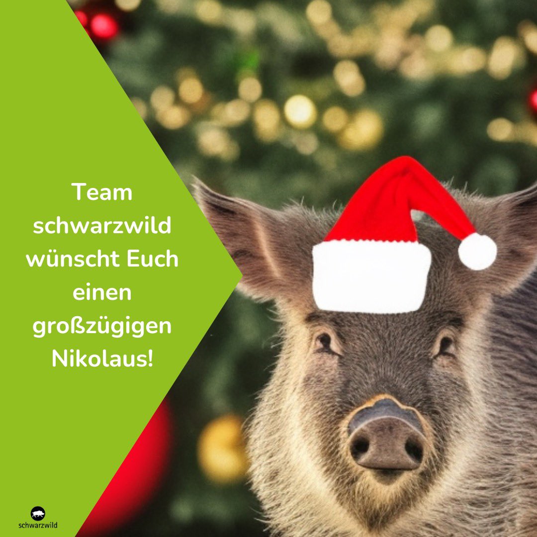 schwarzwildinfo tweet media