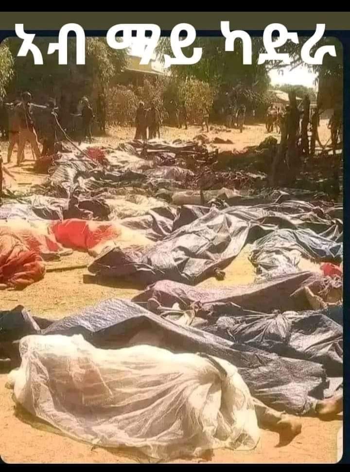 AlamiBerhan's tweet photo. @KibatTigraweyti ኣጆና ጅጋኑ ክወግሕ እዩ https://t.co/Oop3bxMyWU