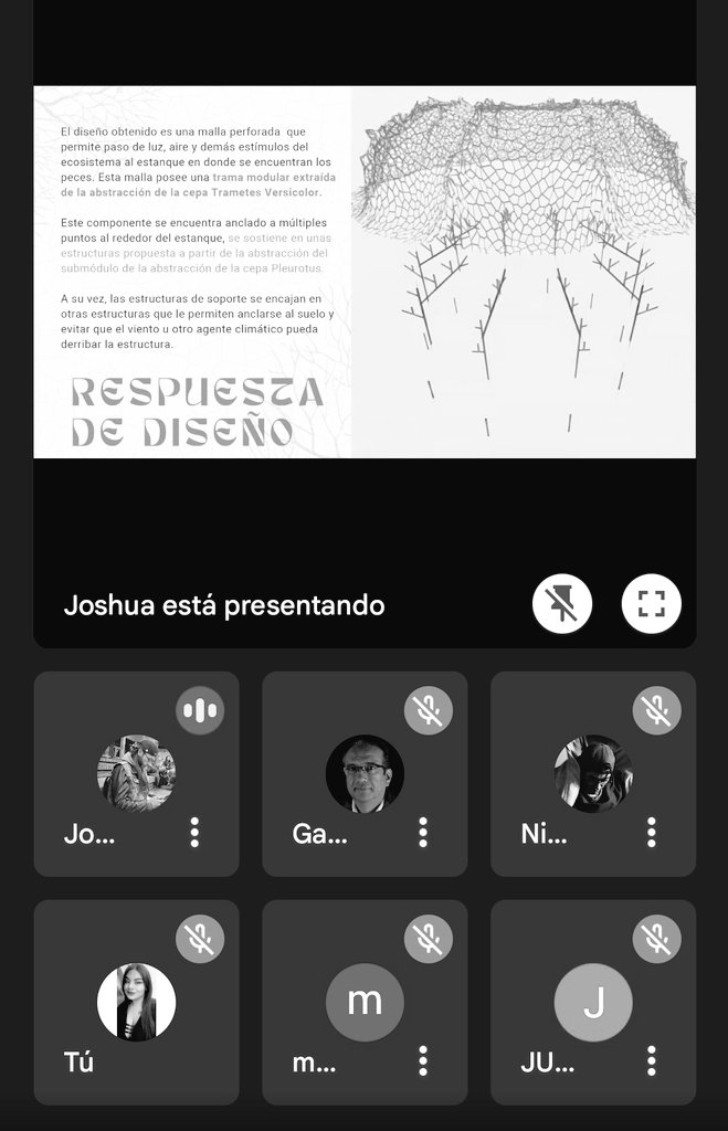 Yira_MacFly's tweet photo. @Hersket_Morket Orgullosa de ti princesa 🔥 https://t.co/OsKMFJKoZ3