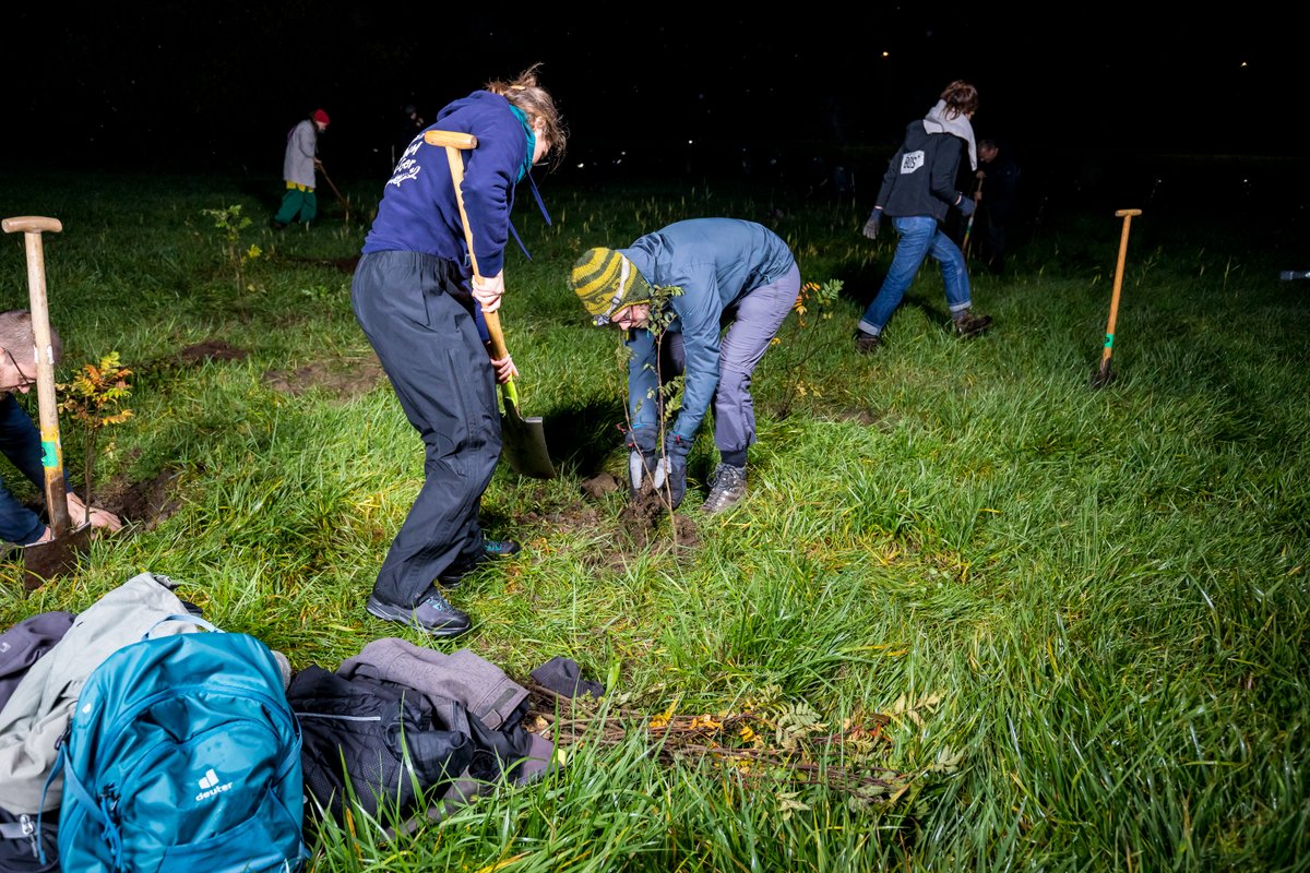 Actievoerders van BOS+ planten na 11 jaar opnieuw illegaal bos op grond van Vlaamse Waterweg 

vrt.be/vrtnws/nl/2022…