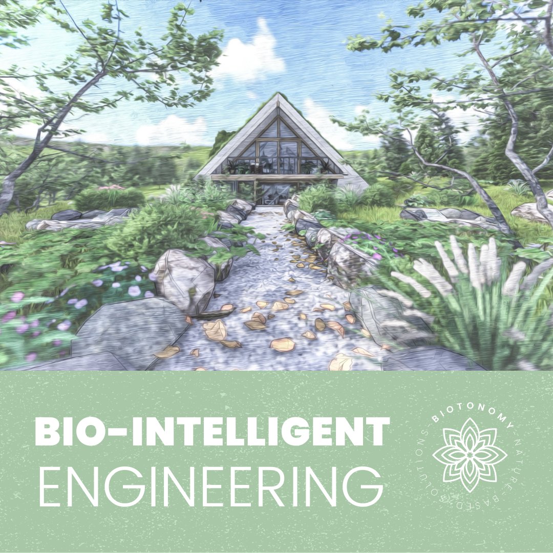 biotonomy's tweet photo. For the past decade, Biotonomy has developed an innovative design & engineering concept based on the intelligence of Nature. This concept consists of practical Nature-based Solutions that are replicable all over the World and goes beyond the problem.
#Biotonomy #bioengi https://t.co/vBO9SUvZvO